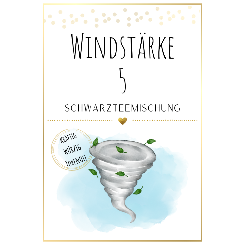 Nr.17 Windstärke 5