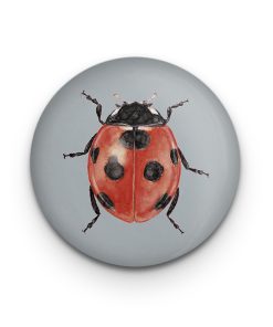 Dekomagnet Lucky Bug